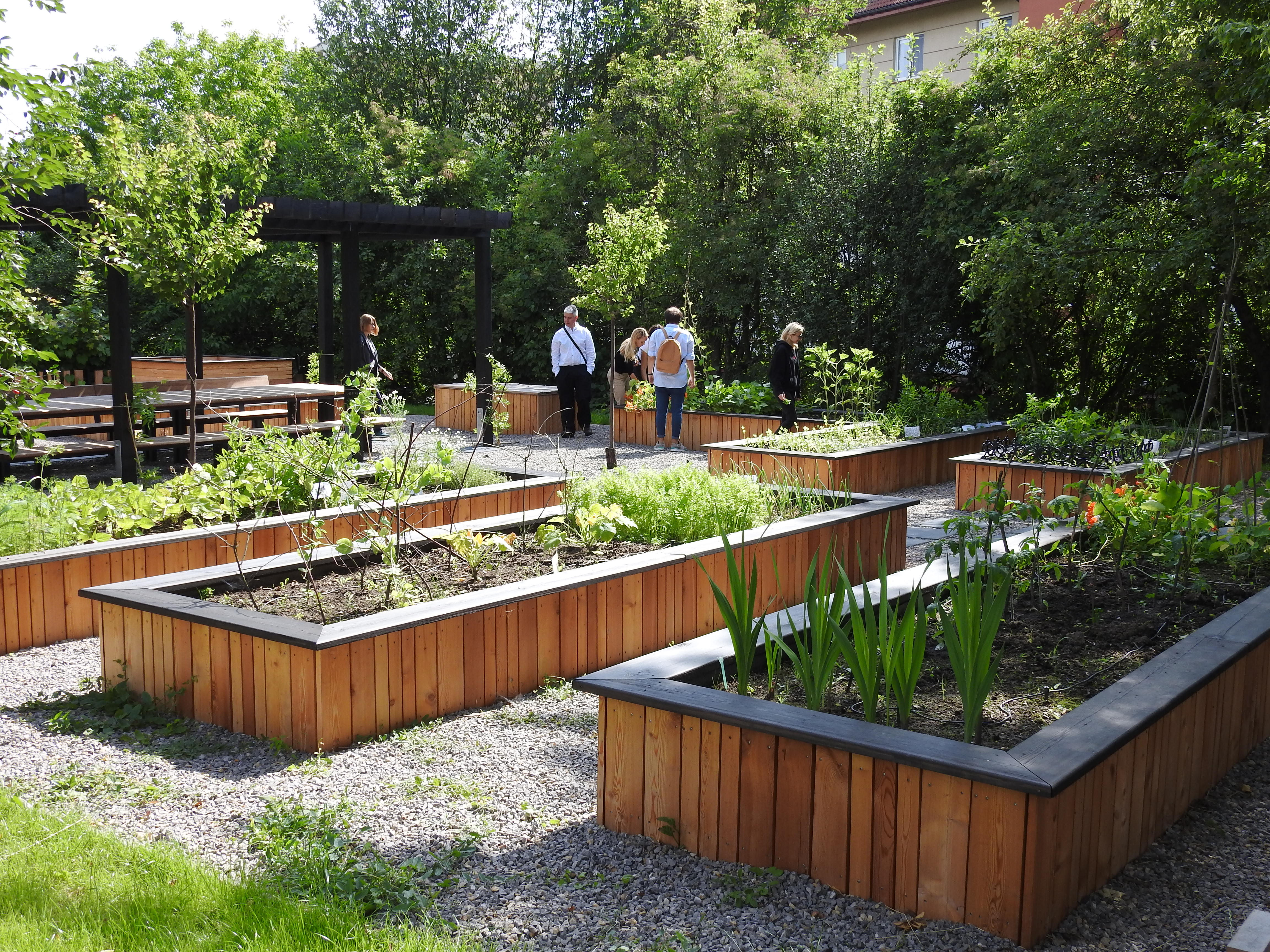 Community Garden Office For Sustainability University Of